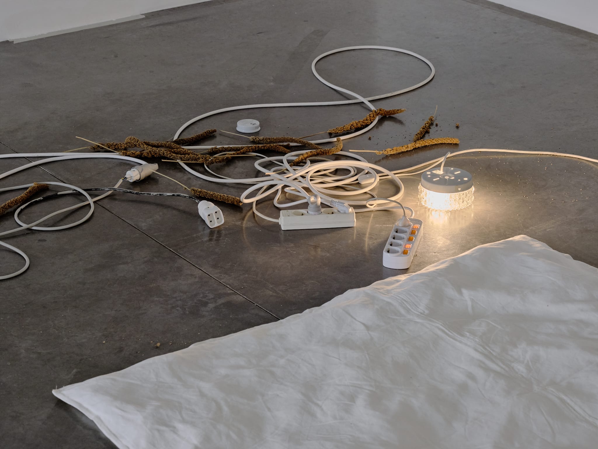 Andréa Spartà, Longlife